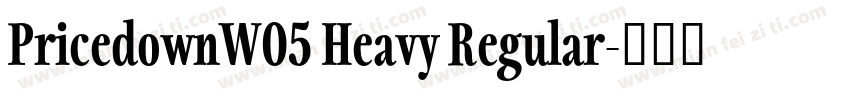 PricedownW05 Heavy Regular字体转换